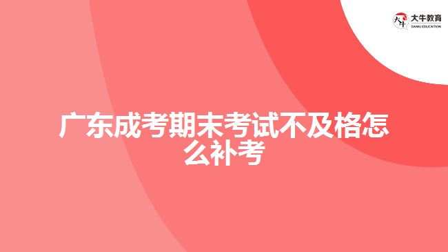 廣東成考期末考試不及格怎么補(bǔ)考