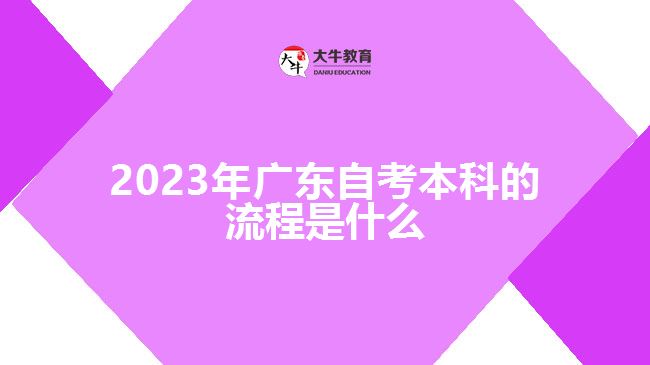 2023年廣東自考本科的流程是什么