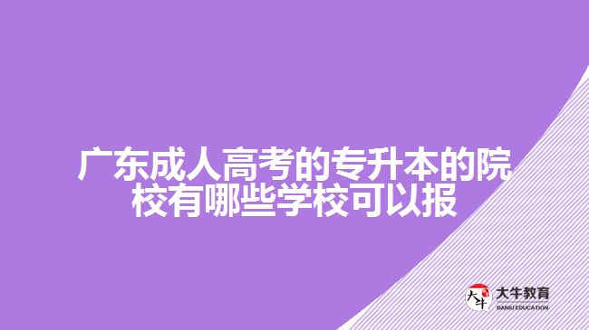 廣東成人高考的專升本的院校有哪些學(xué)校可以報