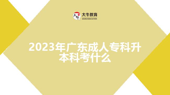 2023年廣東成人?？粕究瓶际裁? width='170' height='105'/></a></dt>
						<dd><a href=