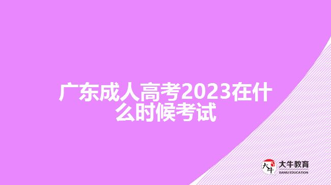 廣東成人高考2023在什么時(shí)候考試