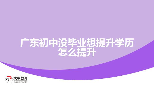 廣東初中沒(méi)畢業(yè)想提升學(xué)歷怎么提升