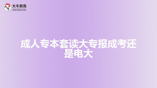 成人專本套讀大專報成考還是電大