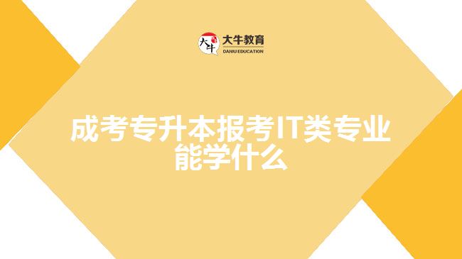 成考專升本報考IT類專業(yè)能學什么