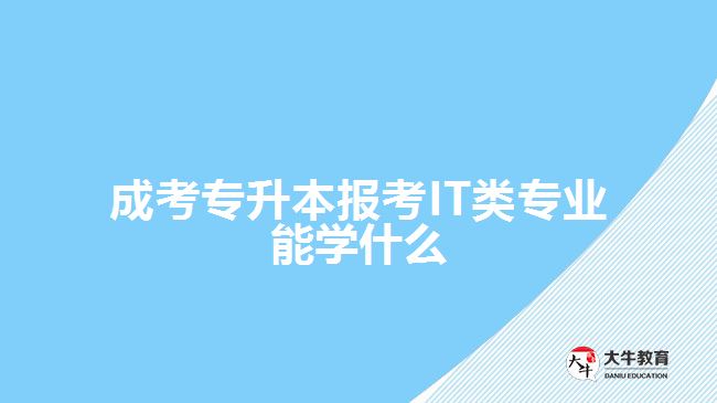 成考專升本報(bào)考IT類專業(yè)能學(xué)什么