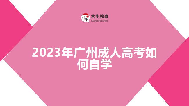 2023年廣州成人高考如何自學(xué)