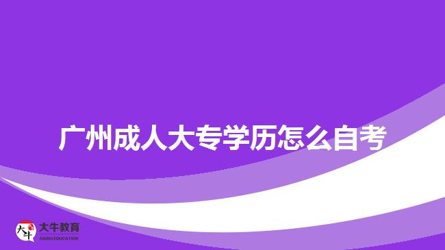 廣州成人大專學歷怎么自考