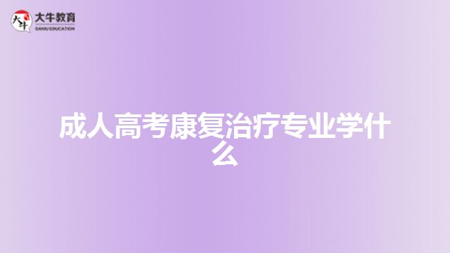 成人高考康復(fù)治療專業(yè)學(xué)什么