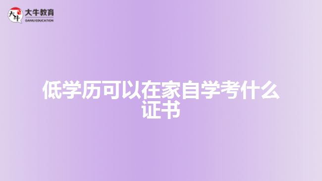 低學歷可以在家自學考什么證書