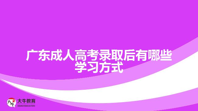 廣東成人高考錄取后有哪些學(xué)習(xí)方式