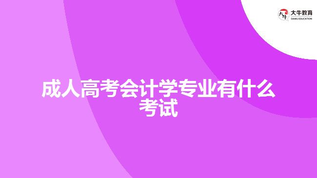 成人高考會(huì)計(jì)學(xué)專(zhuān)業(yè)有什么考試