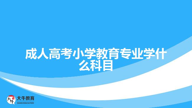 成人高考小學教育專業(yè)學什么科目