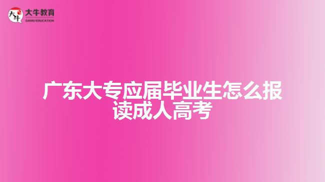 廣東大專應(yīng)屆畢業(yè)生怎么報(bào)讀成人高考