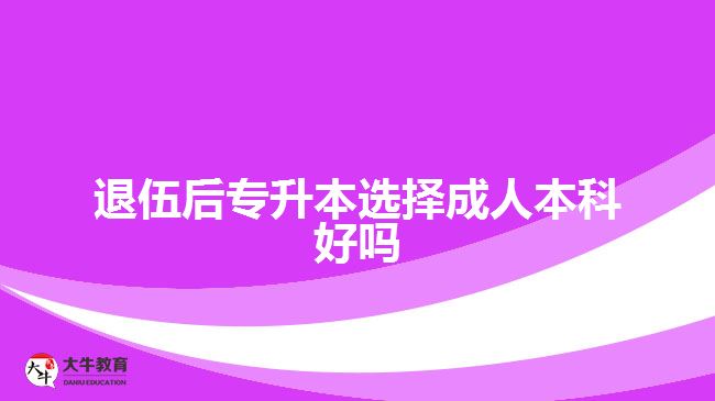 退伍后專升本選擇成人本科好嗎