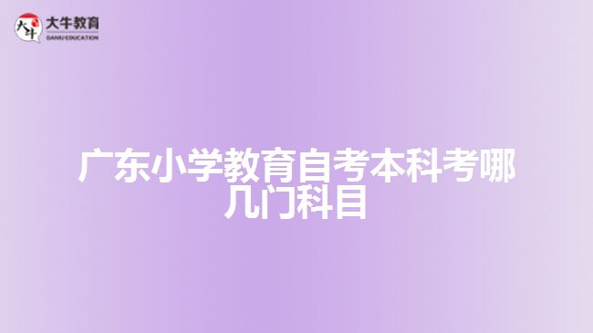 廣東小學教育自考本科考哪幾門科目