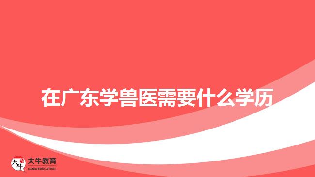 在廣東學獸醫(yī)需要什么學歷