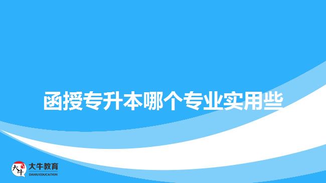 函授專升本哪個專業(yè)實(shí)用些