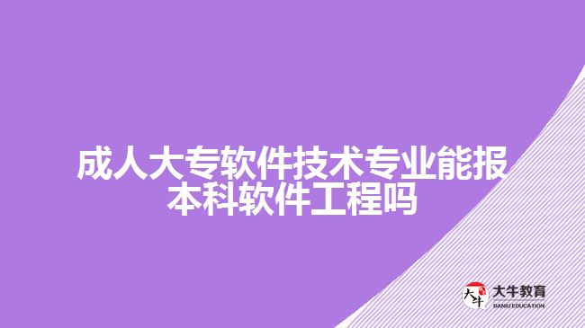 成人大專軟件技術(shù)專業(yè)報本科軟件工程