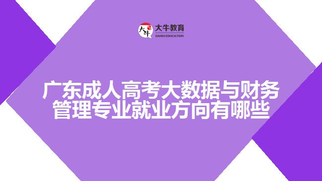 廣東成人高考大數(shù)據與財務管理專業(yè)就業(yè)方向有哪些