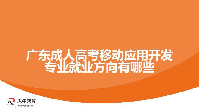 廣東成人高考移動應(yīng)用開發(fā)專業(yè)