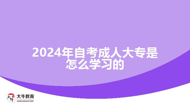 2024年自考成人大專是怎么學(xué)習(xí)的