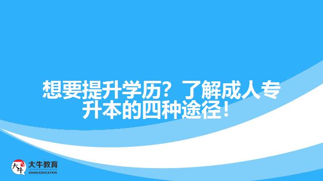 想要提升學(xué)歷？了解成人專升本的四種途徑！