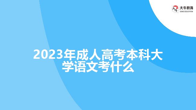 2023年成人高考本科大學(xué)語文考什么