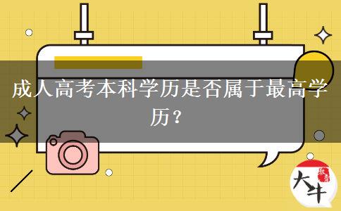 成人高考本科學(xué)歷是否屬于最高學(xué)歷？