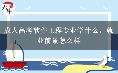 成人高考軟件工程專業(yè)學(xué)什么，就業(yè)前景怎么樣