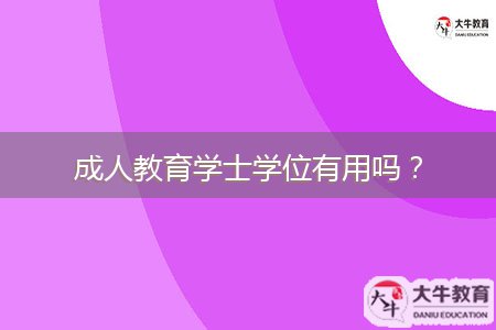 成人教育學(xué)士學(xué)位有用嗎？