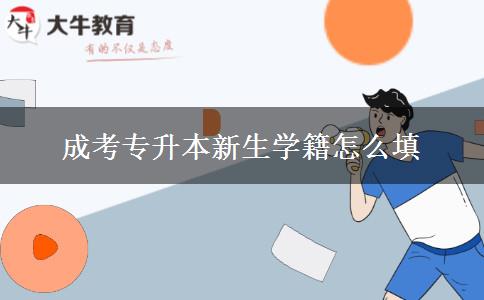 成考專升本新生學(xué)籍怎么填