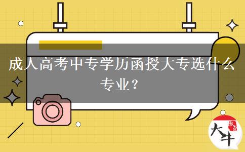 成人高考中專學(xué)歷函授大專選什么專業(yè)？