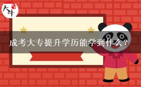 成考大專(zhuān)提升學(xué)歷能學(xué)到什么？