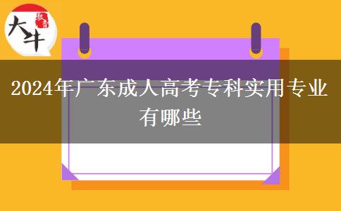 2024年廣東成人高考專(zhuān)科實(shí)用專(zhuān)業(yè)有哪些