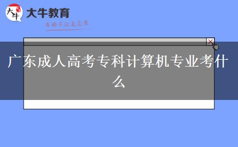 廣東成人高考?？朴?jì)算機(jī)專業(yè)考什么