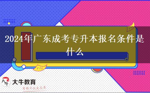 2024年廣東成考專升本報(bào)名條件是什么