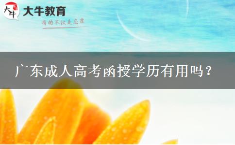 廣東成人高考函授學(xué)歷有用嗎？