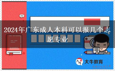 2024年廣東成人本科可以報(bào)幾個(gè)志愿專(zhuān)業(yè)