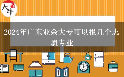 2024年廣東業(yè)余大?？梢詧髱讉€志愿專業(yè)