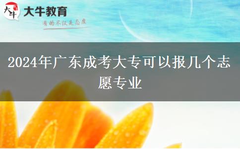 2024年廣東成考大專可以報(bào)幾個(gè)志愿專業(yè)