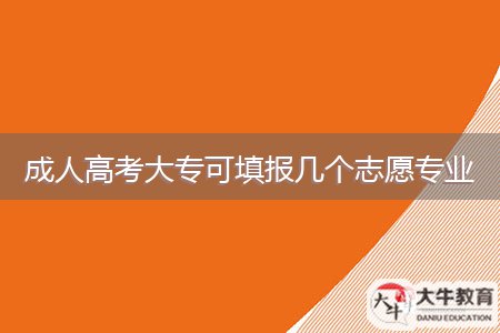 成人高考大專可填報(bào)幾個(gè)志愿專業(yè)