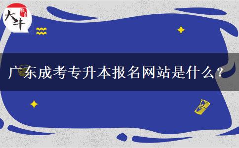 廣東成考專升本報(bào)名網(wǎng)站是什么？