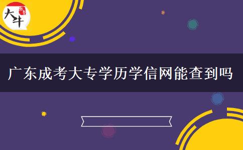 廣東成考大專學(xué)歷學(xué)信網(wǎng)能查到嗎