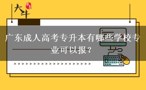 廣東成人高考專升本有哪些學(xué)校專業(yè)可以報(bào)？