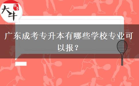 廣東成考專升本有哪些學(xué)校專業(yè)可以報(bào)？