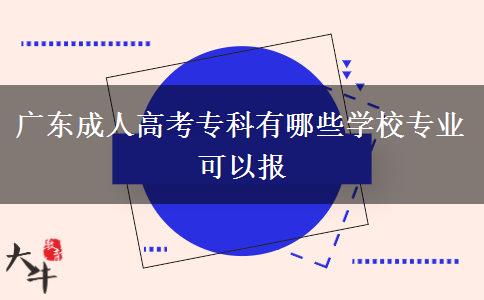 廣東成人高考?？朴心男W(xué)校專業(yè)可以報