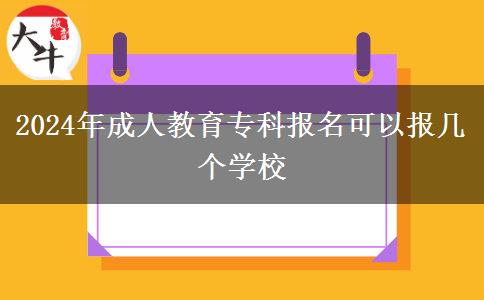 2024年成人教育?？茍?bào)名可以報(bào)幾個(gè)學(xué)校