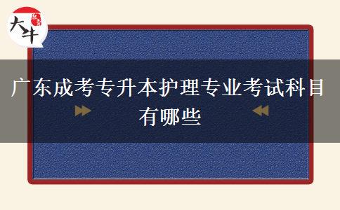 廣東成考專升本護(hù)理專業(yè)考試科目有哪些