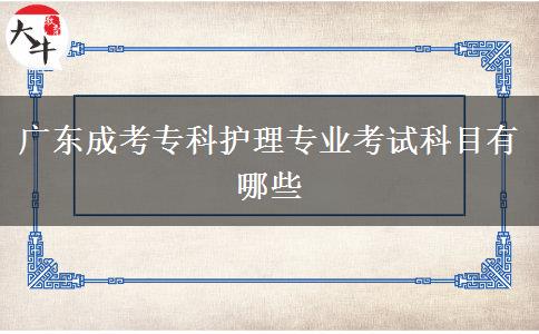 廣東成考?？谱o(hù)理專業(yè)考試科目有哪些