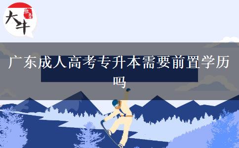 廣東成人高考專升本需要前置學(xué)歷嗎